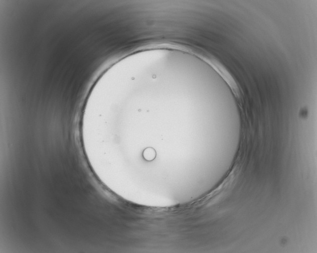 X0000116390813201001131828