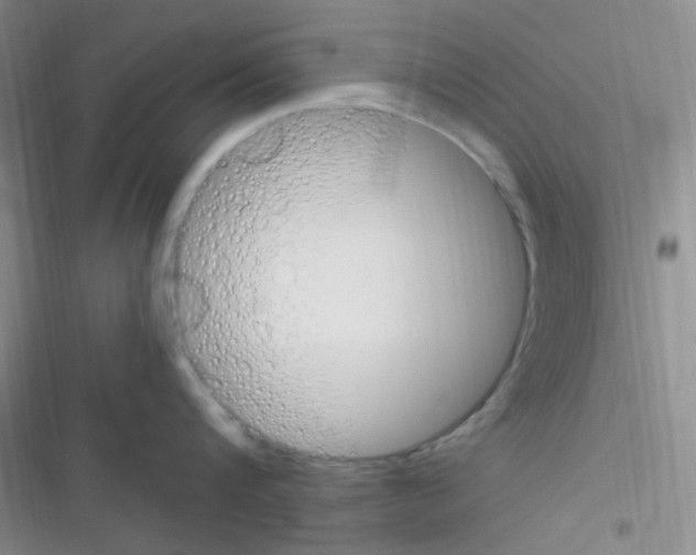 X0000116390816201001131828