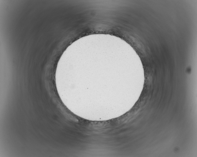 X0000116390817201001131828