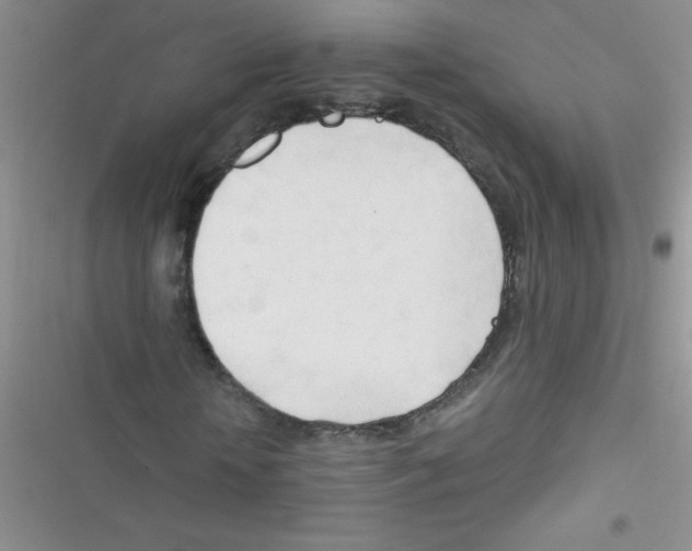 X0000116390818201001131828
