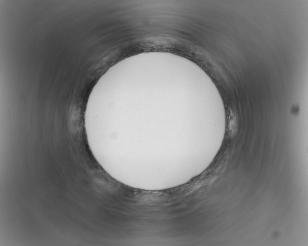 X0000116390819201001131828