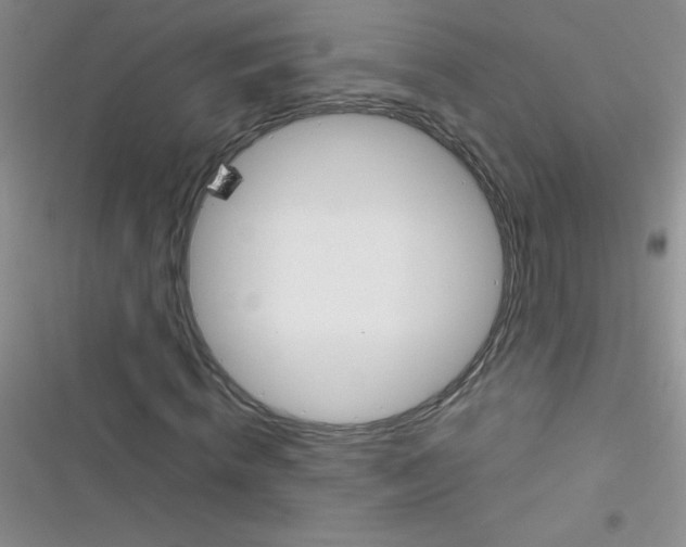 X0000116390820201001131828
