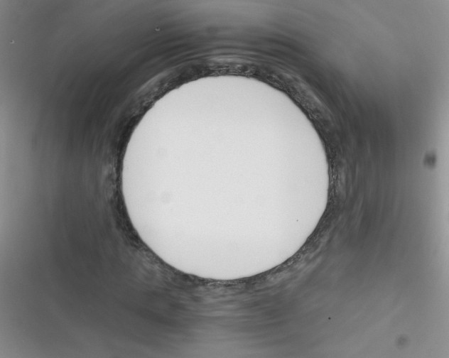 X0000116390821201001131828