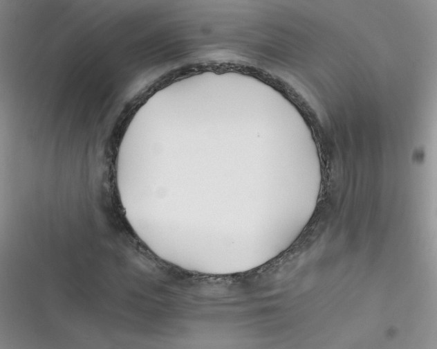 X0000116390823201001131828