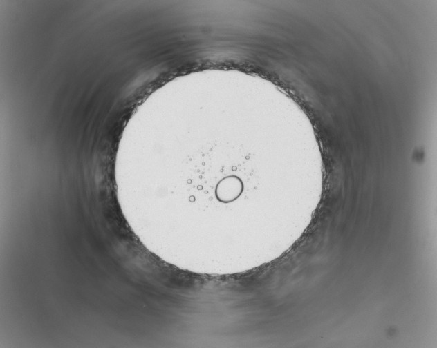 X0000116390824201001131828
