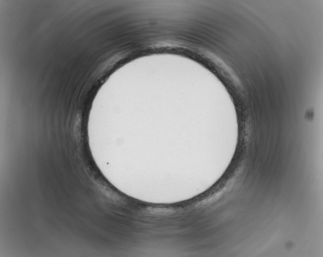 X0000116390825201001131828