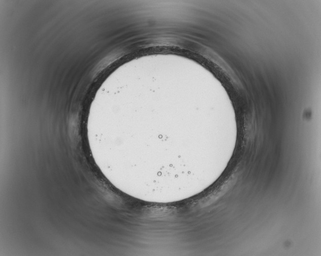 X0000116390826201001131828
