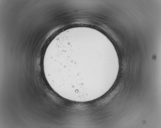 X0000116390830201001131828