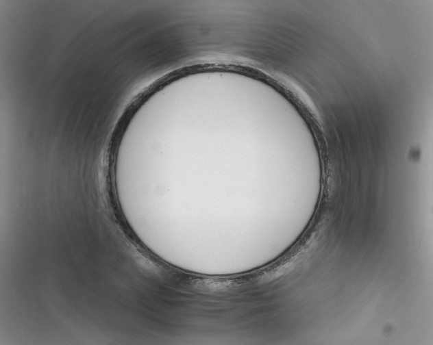 X0000116390831201001131828