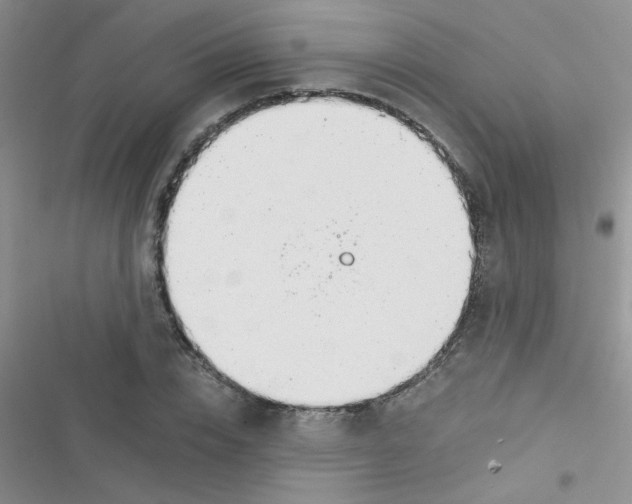 X0000116390832201001131828