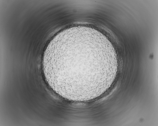X0000116390833201001131828