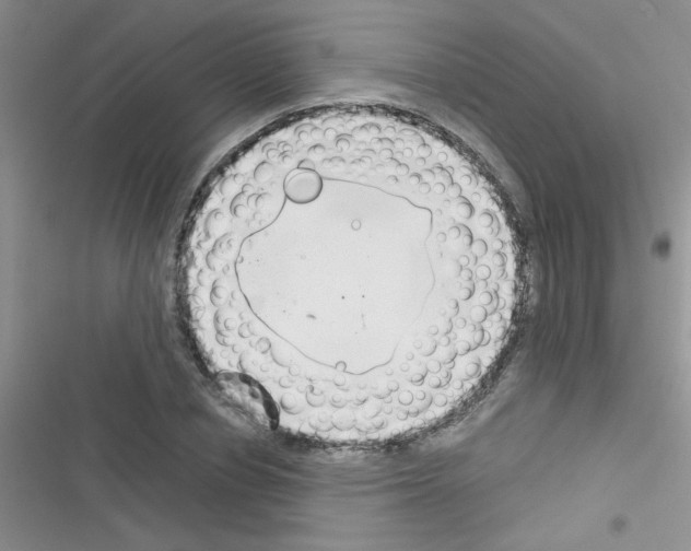 X0000116390834201001131828