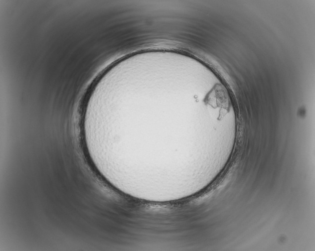 X0000116390835201001131828