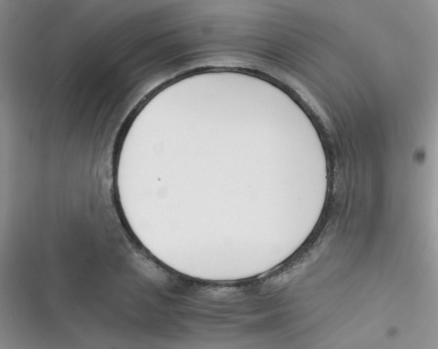 X0000116390837201001131828