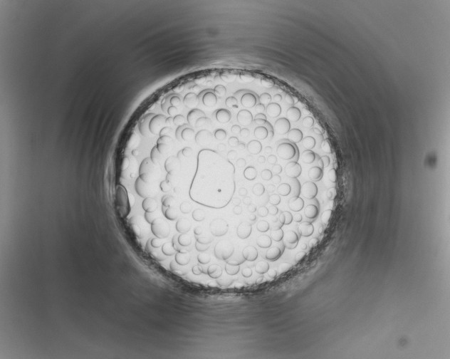 X0000116390838201001131828