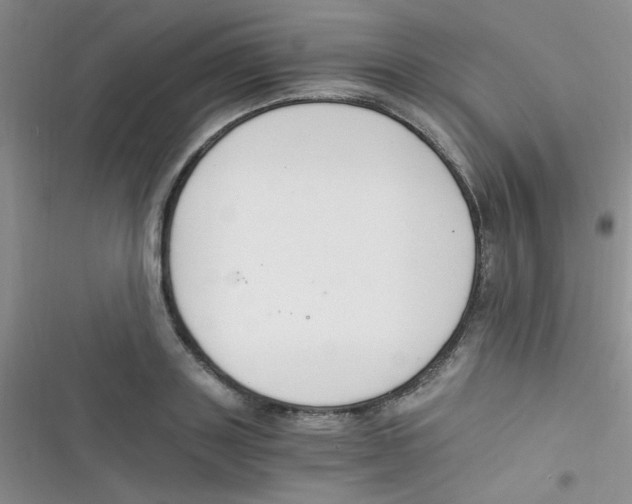 X0000116390843201001131828