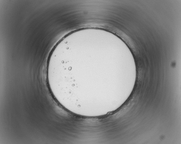 X0000116390844201001131828