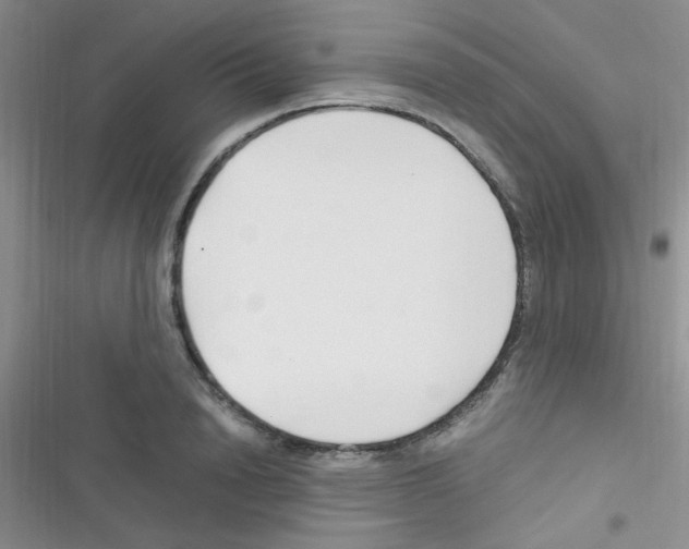 X0000116390846201001131828