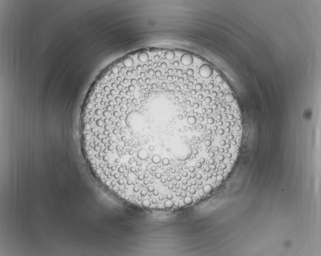 X0000116390848201001131828