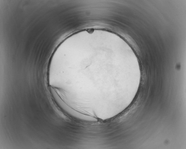 X0000116390850201001131828
