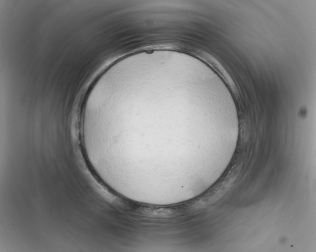 X0000116390851201001131828