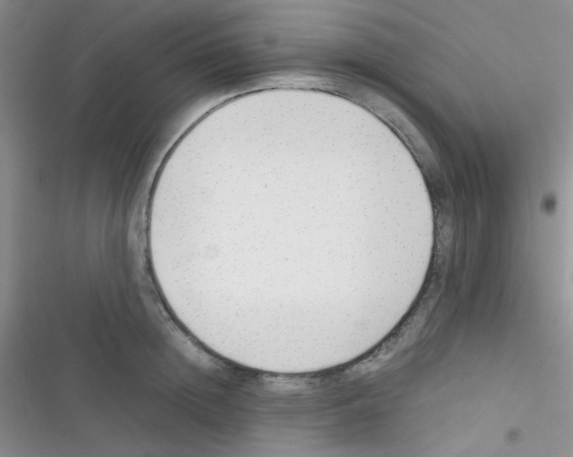 X0000116390852201001131828