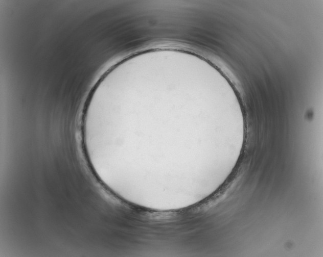 X0000116390853201001131828