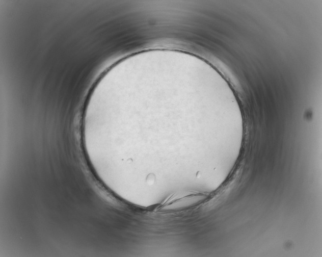 X0000116390854201001131828