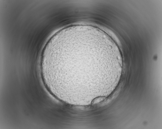 X0000116390855201001131828
