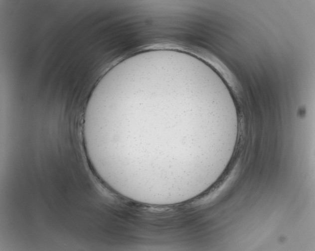X0000116390857201001131828
