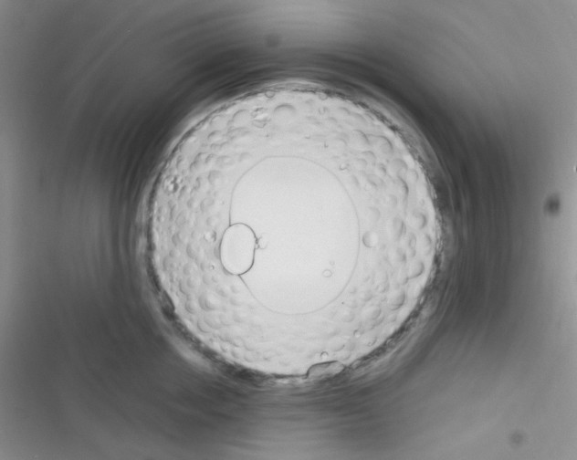 X0000116390858201001131828