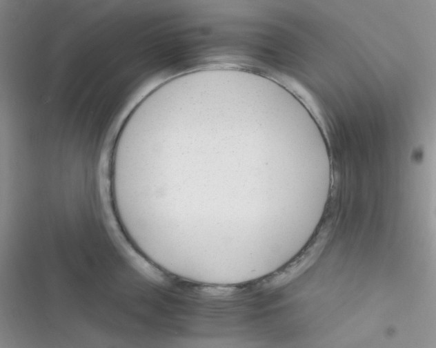 X0000116390859201001131828