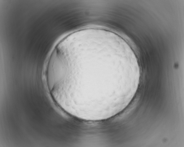 X0000116390862201001131828