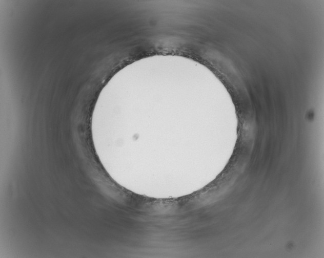 X0000116390865201001131828