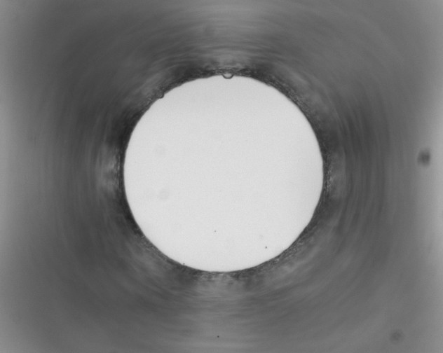 X0000116390866201001131828
