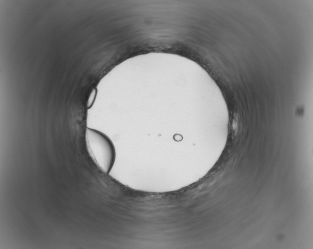 X0000116390867201001131828