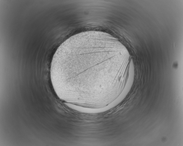 X0000116390868201001131828