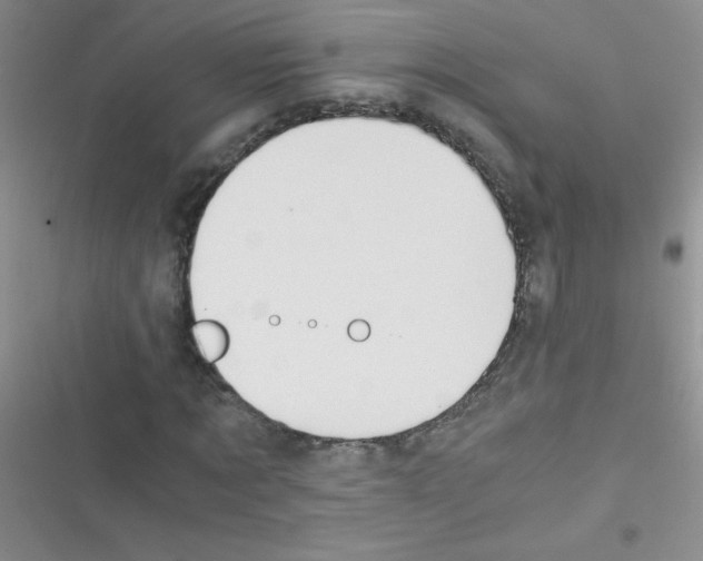 X0000116390869201001131828