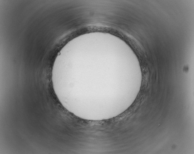 X0000116390870201001131828