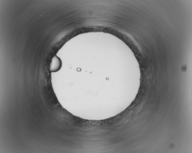 X0000116390871201001131828