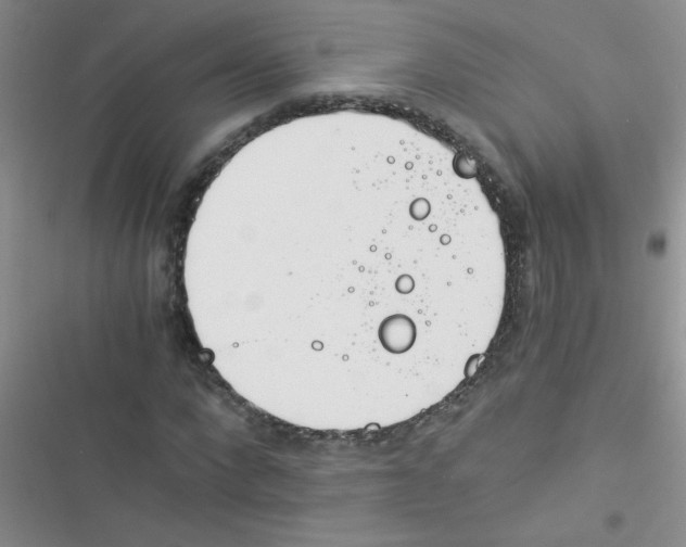 X0000116390872201001131828