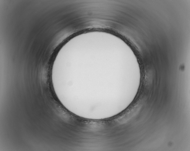 X0000116390874201001131828
