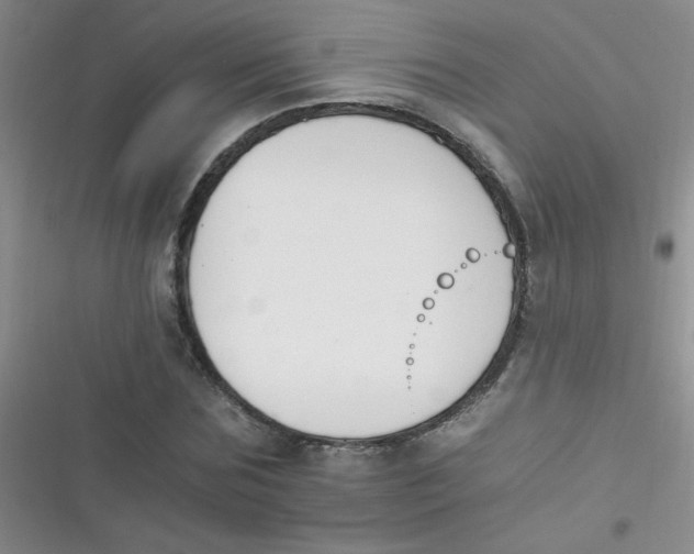 X0000116390875201001131828