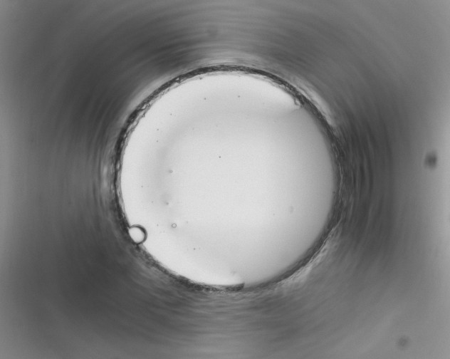 X0000116390877201001131828