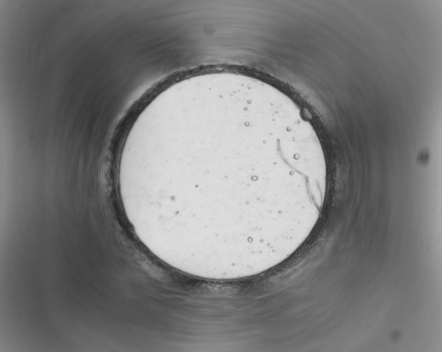 X0000116390878201001131828
