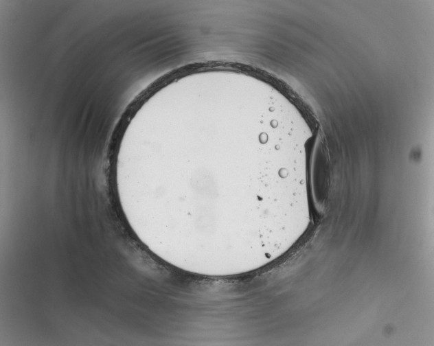 X0000116390879201001131827