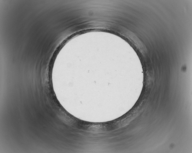 X0000116390883201001131827