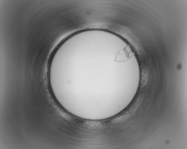 X0000116390886201001131827