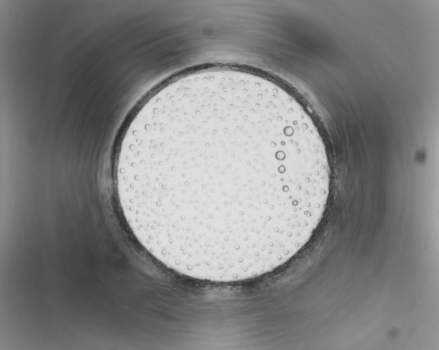 X0000116390887201001131827
