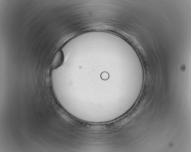 X0000116390889201001131827